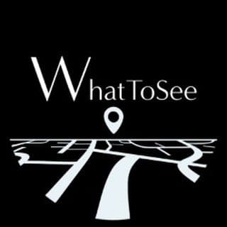 What To See Media logo